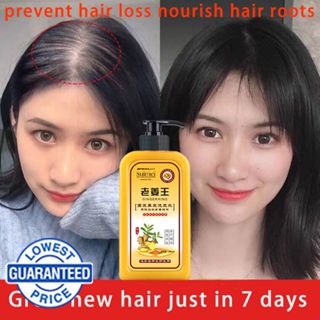 ORIGINAL AZLA GINGER SHAMPOO