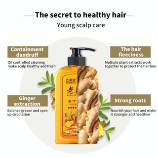 ORIGINAL AZLA GINGER SHAMPOO