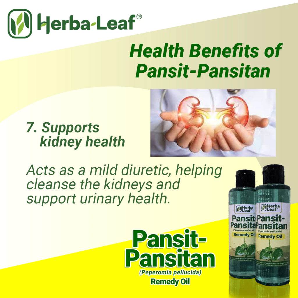 Pansit-Pansitan Herbal Remedy Oil for Gout, Arthritis & Muscle Pain