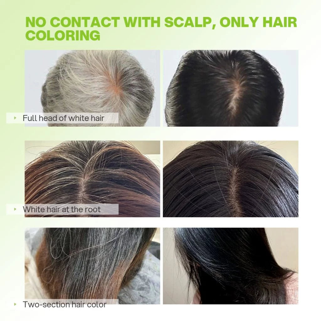 WELL HAIR Color Shampoo 2.0 Black