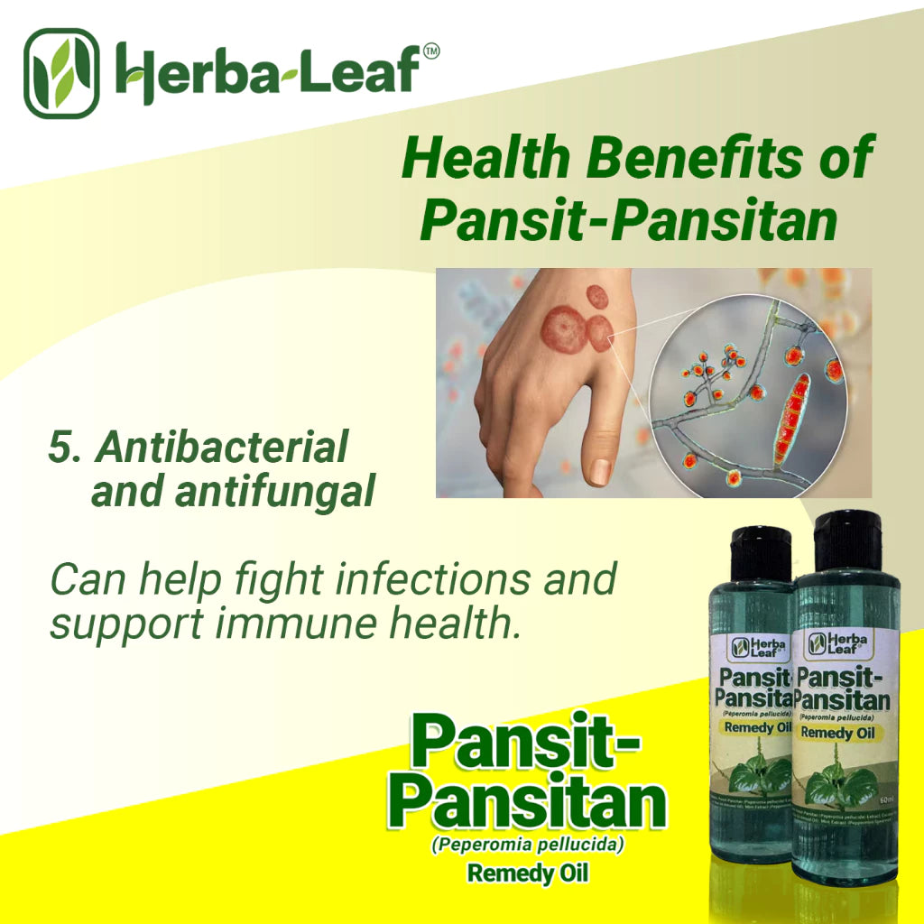 Pansit-Pansitan Herbal Remedy Oil for Gout, Arthritis & Muscle Pain