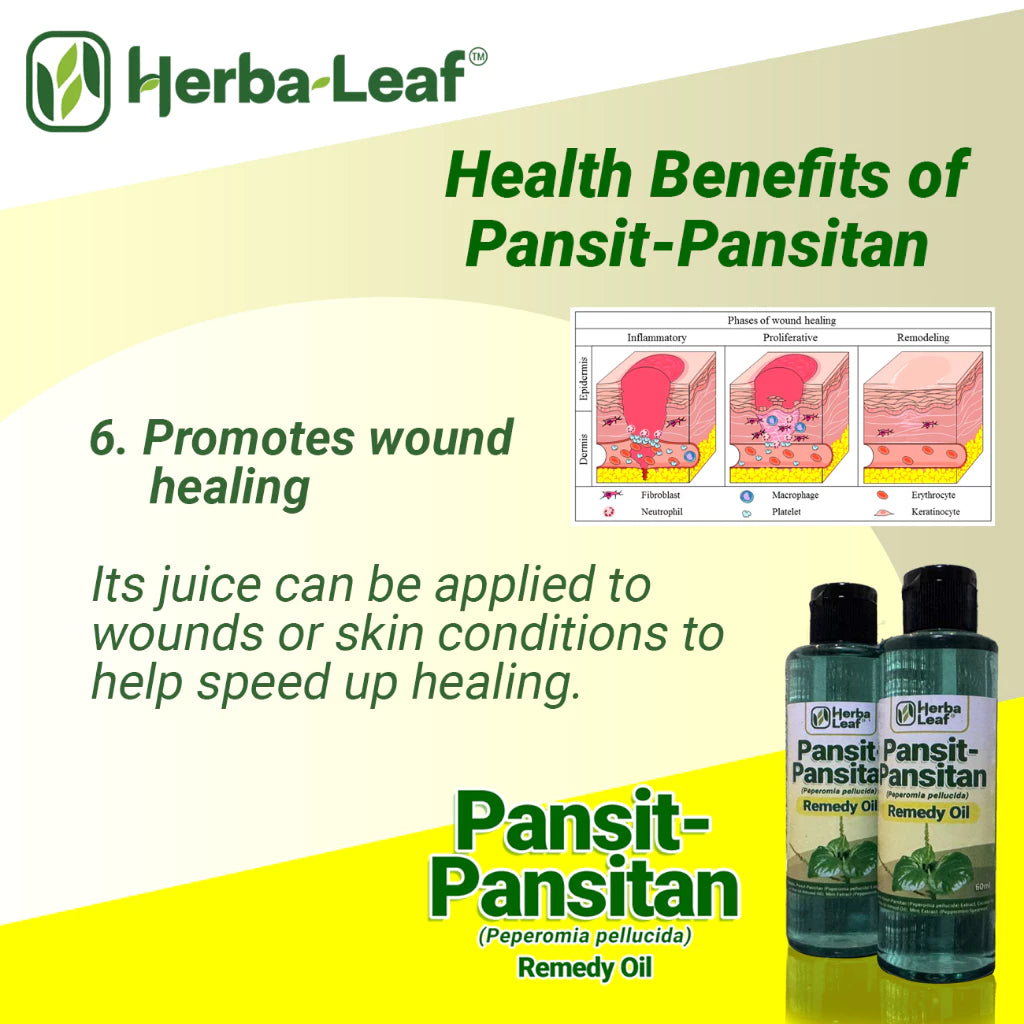 Pansit-Pansitan Herbal Remedy Oil for Gout, Arthritis & Muscle Pain